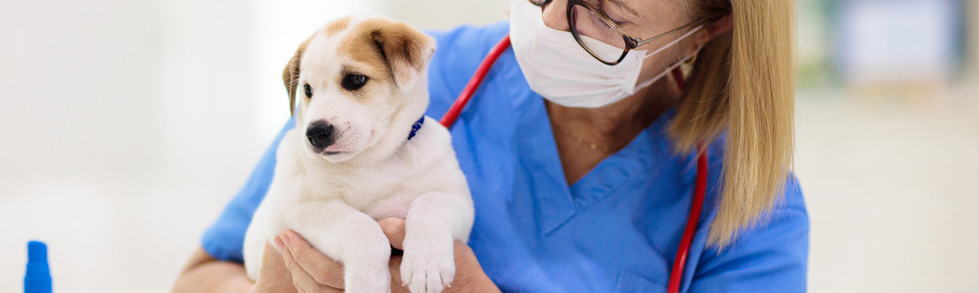 TVD-Partner-fuer-Tieraerzte-7