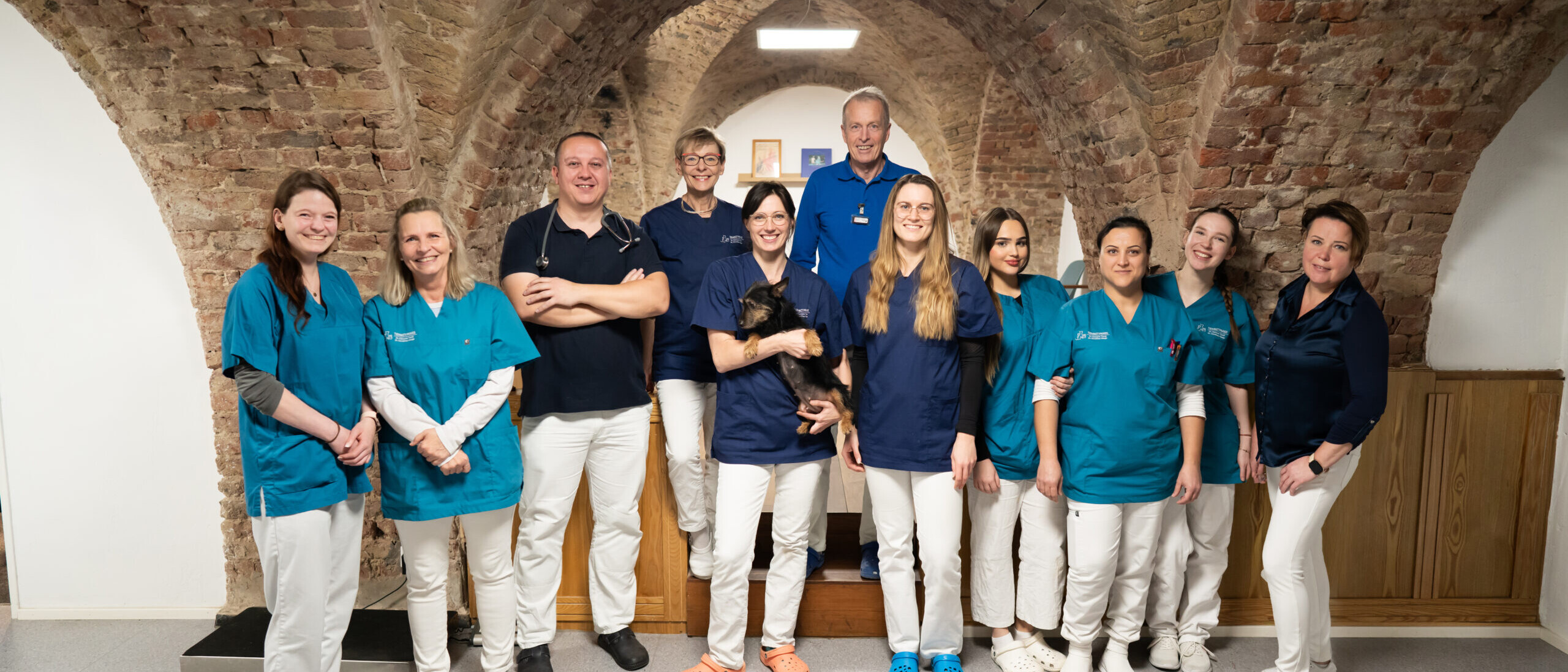 Gruppenbild des Praxisteams der Tierarztpraxis Dr. Tyrell & Dr. Haege