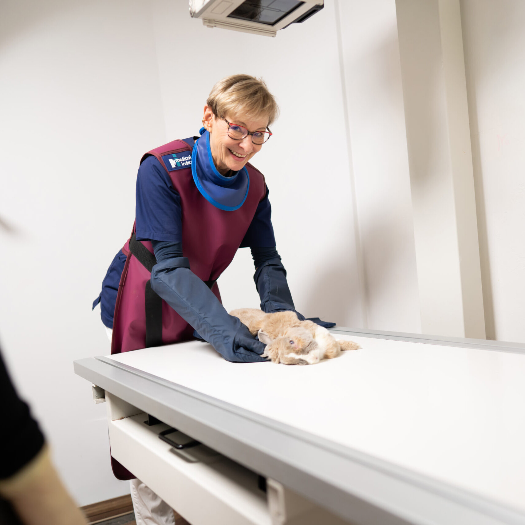 Tierärztin Dr. Haege bei der Lagerung zum Röntgen einer Katze